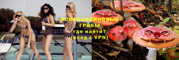 синтетический гашиш Алексеевка