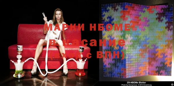 стаф Абаза