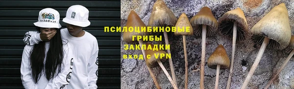 скорость Алзамай