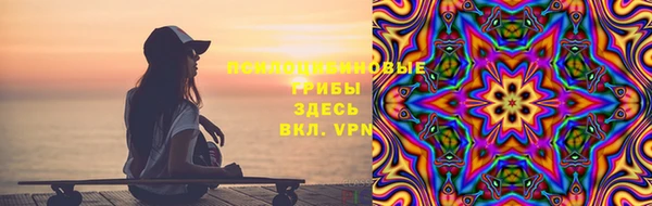 стаф Абаза