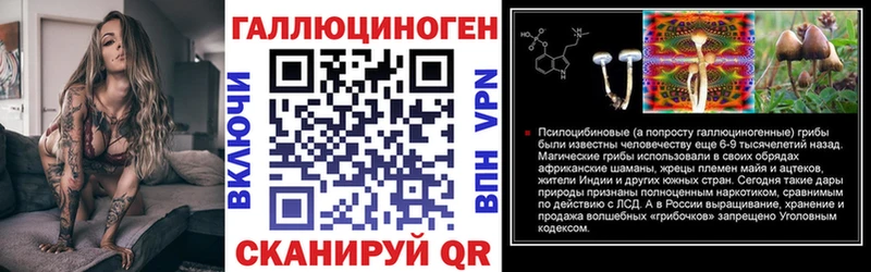 хочу наркоту  Ленинградская  Псилоцибиновые грибы прущие грибы 